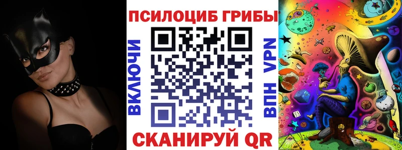 Купить где  Чкаловск  Псилоцибиновые грибы ЛСД 
